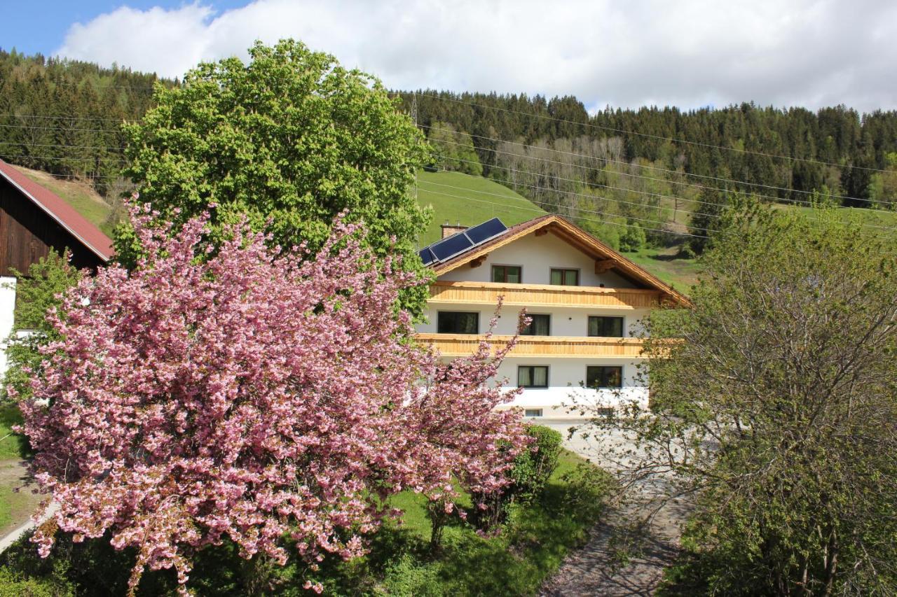 Eiblhof Apartman Schladming Kültér fotó