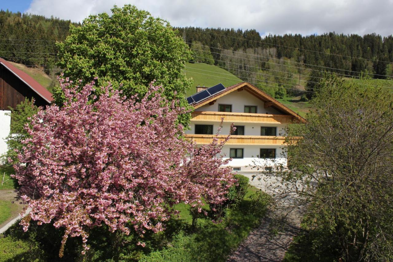 Eiblhof Apartman Schladming Kültér fotó